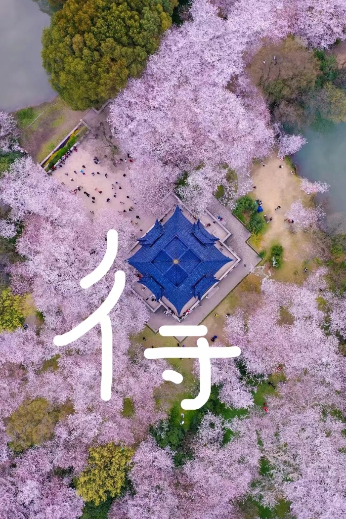 &#20048;&#40060;&#32593;&#39029;&#29256;&#45;&#20048;&#40060;&#40;&#20013;&#22269;&#41;&#23448;&#26041;